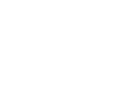 SODINSA Logo